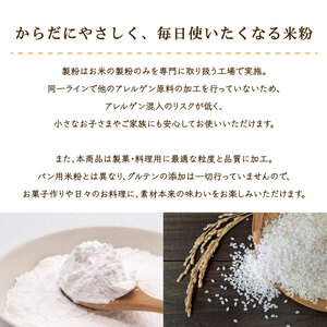 米粉 国産 製菓 料理用 2袋 （1袋 300g） 米粉