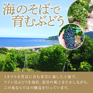 輪島市産ワイン用ブドウ100%使用！ぶどうジュース　紅白２本セット wa011-007