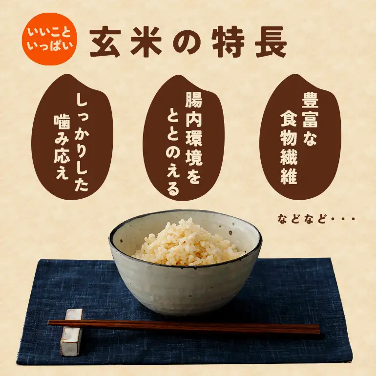 【ふるなびWEEK対象】玄米 にじのきらめき  10kg 米 FH-016