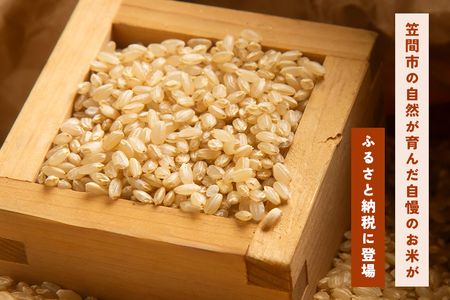 玄米 にじのきらめき 5kg 3ヵ月 定期便 (合計15kg) 米 FH-018