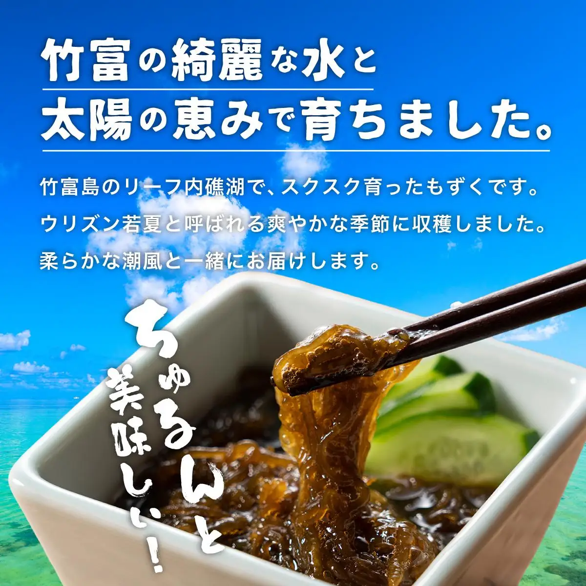 竹富島産　塩もずく 500g×6パック