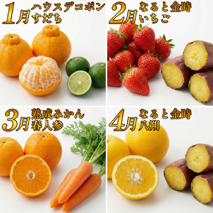 フルーツ 野菜 定期便 3回 定期