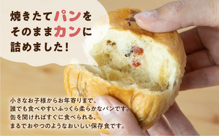 【チョコチップ 12缶】備えて安心、食べて満足『パンカン！』12缶セット 防災グッズ