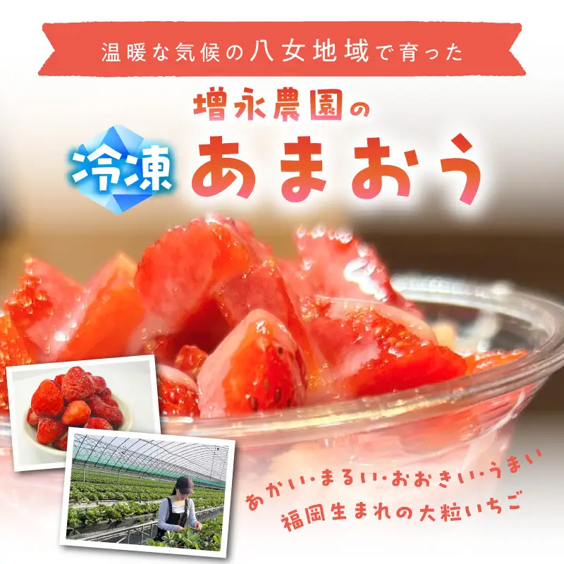 【増永農園】 冷凍あまおう 1kg 国産 冷凍いちご 美味しい 冷凍 イチゴ 1キロ スイーツ作り 冷凍フルーツ 福岡県 八女市 190-002