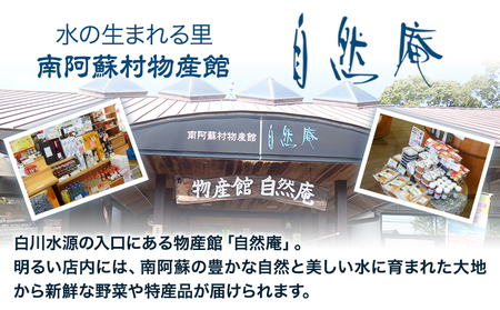 【3ヶ月定期便】白川水源 ミネラルウォーター タンク式  20L×1ケース ×3回《お申込み翌月から出荷》熊本県 南阿蘇村 物産館自然庵 水 ミネラルウォーター 飲料水 飲み水 南阿蘇