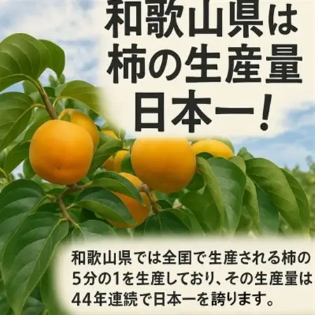 柿【先行受付】柳フルーツ園 たねなし柿 (12個 箱入り) ギフトにも最適!_果物・フルーツ 柿（カキ）  かき_【1021100】