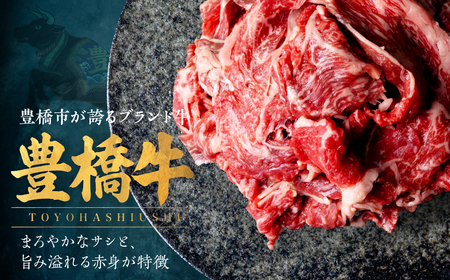 豊橋牛 定期便5回隔月 3kg 国産 牛肉