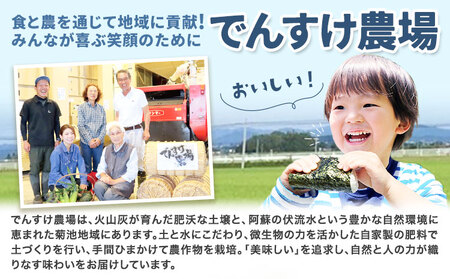 【6ヶ月定期便】令和7年産 精米 七城のこめ 15kg《30日以内に出荷予定(土日祝除く)》熊本県 菊池市 米 白米 ヒノヒカリ でんすけ農場