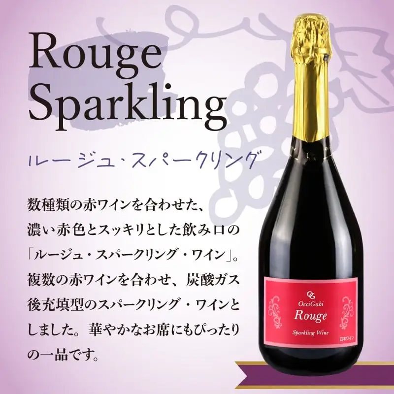 【定期便6回】【OcciGabi Winery】赤ワイン飲みくらべ定期便 OcciGabi Winery 赤ワイン 定期便 1本×6ヶ月【ワイン】_Y012-0113