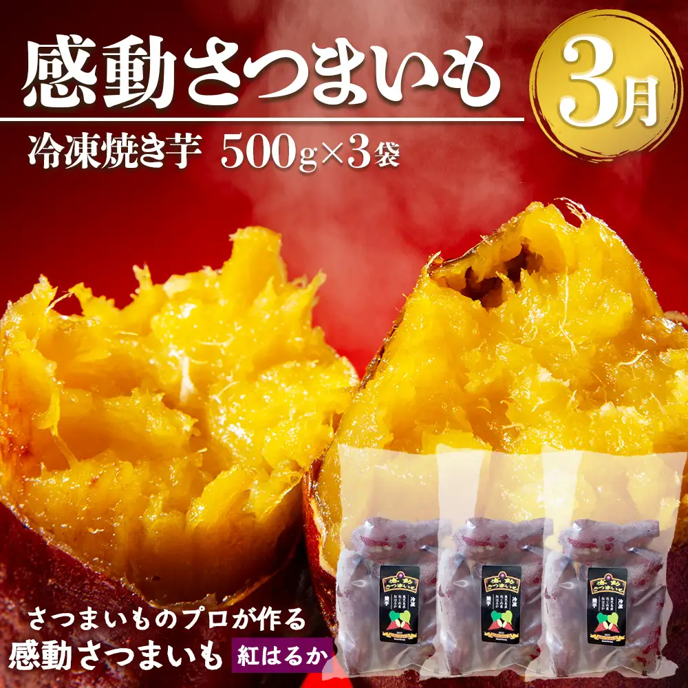 【定期便・年4回】農家の感動シリーズA(約9.1kg) FR-1｜冷凍焼き芋 ゴールドラッシュ とうもろこし 塩茹で 落花生 おおまさり ピーナッツ 芋 さつまいも 紅はるか 野菜定期便 旬 産地直送 サラダ 南大隅町