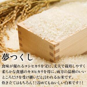 新米！！令和7年産 福岡県産米 夢つくし 合計20kg ( 5kg×4袋 )