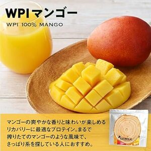 【WPIマンゴー風味】 EZOBOLIC プロテイン 3kg WPIプロテイン LG