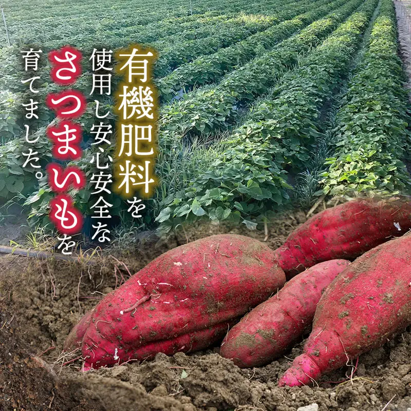 やまさの干し芋　130g × 5袋　壺焼き芋専門店やまさ