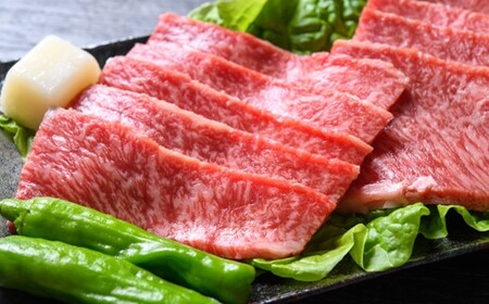 AD154.【A4～A5】博多和牛赤身モモ焼肉用約500g【博多和牛】