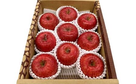 山形県産 厳選完熟高徳りんご 秀品以上 2kg 6～12玉入り 化粧箱《先行予約2026年11月発送開始》 りんご リンゴ 林檎 デザート フルーツ 果物 くだもの 果実 食品 山形県 FSY-1354