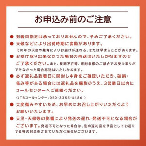 243.【先行予約】スイカM2玉　5kg以上2玉◇ ※5月下旬～8月中旬頃に順次発送予定（こちらの返礼品は、大栄西瓜ではありません）