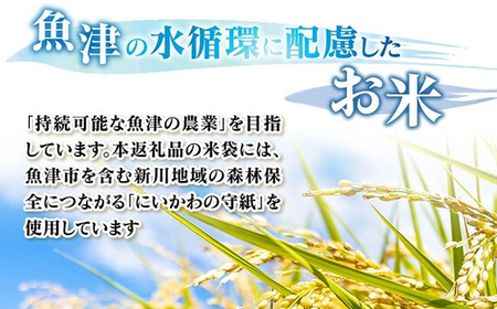 【令和7年度産米】【農家直送】環境配慮「魚津の富富富（晃米）」白米5kg ※北海道・沖縄・離島への配送不可