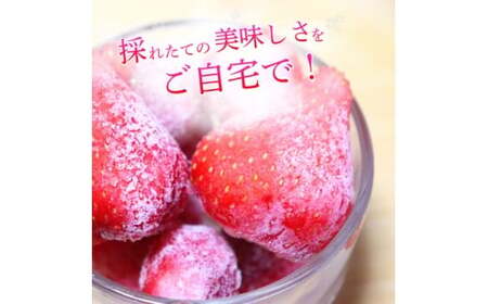 いちご 冷凍 古都華 約1.5kg [250g×6パック] 【2026年5月上旬～6月下旬に順次発送】葛城市【smlk031】