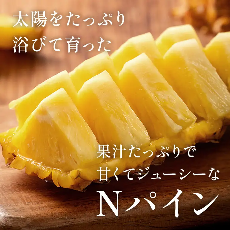 Nパイン1玉　自然の恵み詰まったパイナップル 172-1