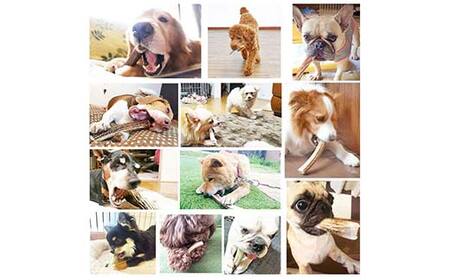 エゾ鹿の角ガム 8cm 超小型犬用 3個 北海道産 国産 無添加 犬用ガム 天然鹿角 長持ち デンタルケア ペット おやつ F5F-0055