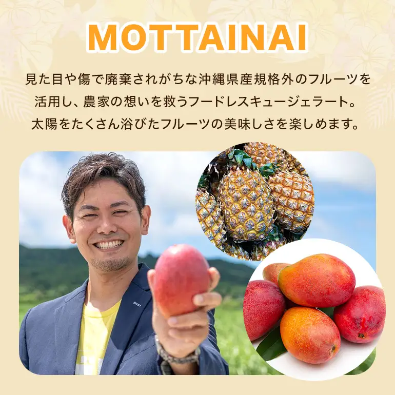 MOTTAINAI マンゴージェラート　6個入り 27-4