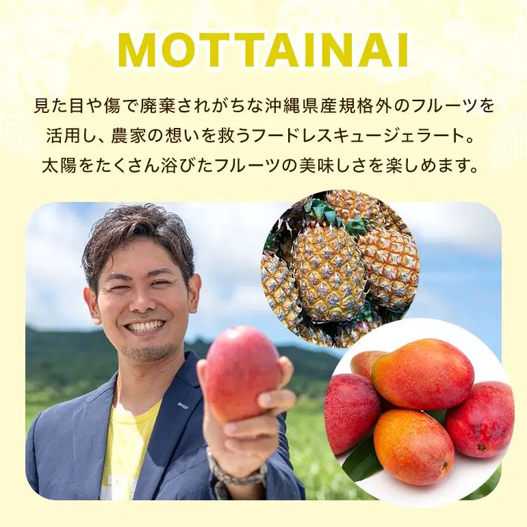 MOTTAINAI パイナップルジェラート　6個入り 27-5
