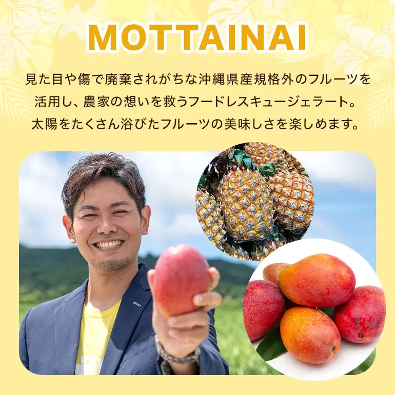 MOTTAINAI バナナジェラート　6個入り 27-6