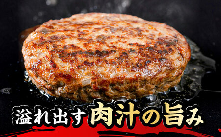 博多和牛入り ハンバーグ 100g×24個 糸島市 / 幸栄物産 牛肉 黒毛和牛[ABH050]