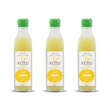 北川村クラフトゆずシロップ　300ml×3本【1704210】