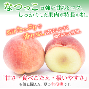 もも しっかり果肉！硬め好きに贈る贅沢桃　なつっこ【5～6玉】【先行予約】【2026年6月下旬～8月上旬順次発送】【aozf002】