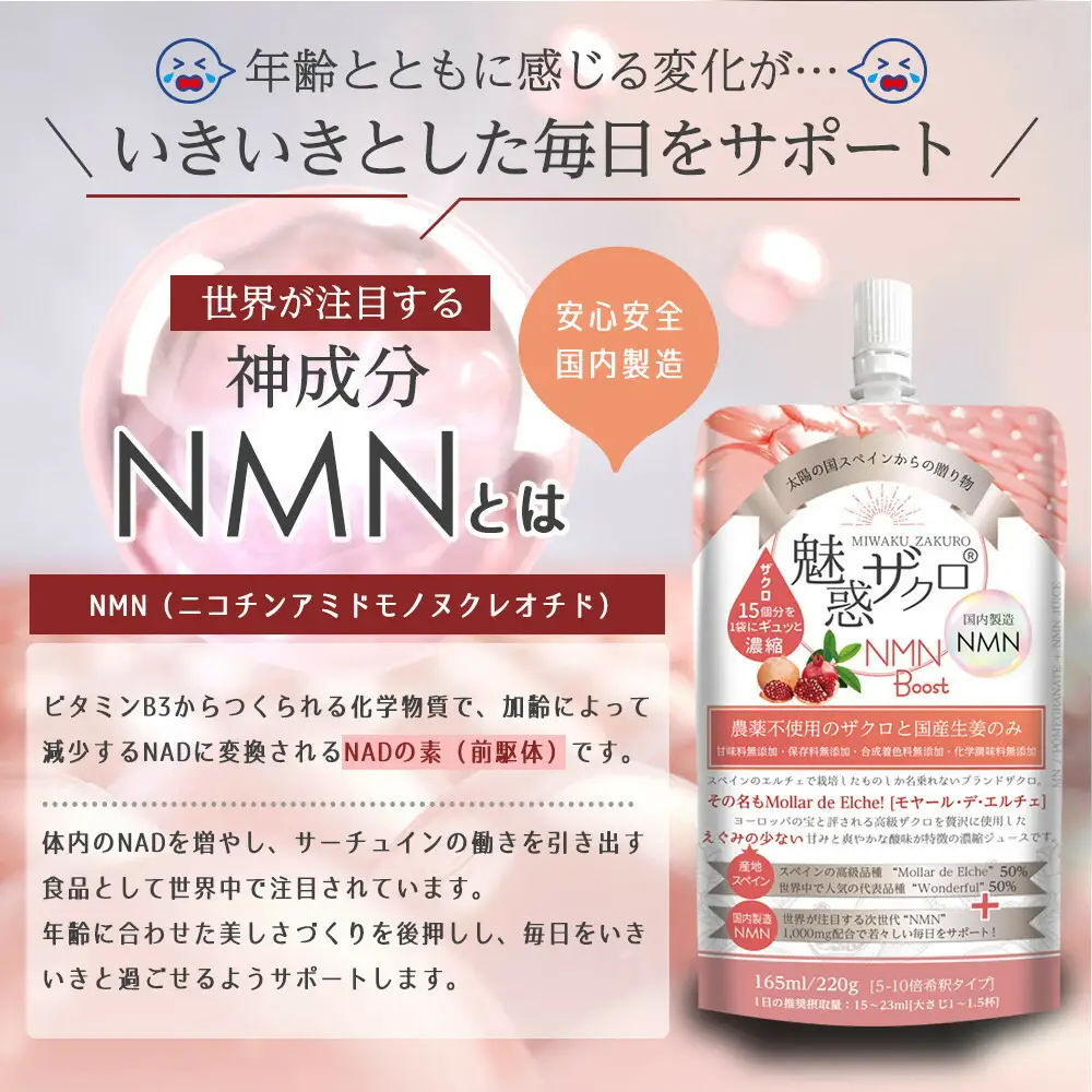 【全3回】魅惑ザクロ NMN Boost(福岡市返礼品)【4袋入り】