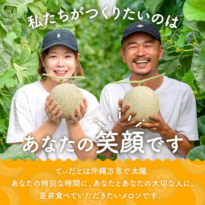 【メロン定期便】＜先行受付＞宮古島産てぃだメロン 1玉《2026年冬・2027年春発送》＜8farm＞（JC008）