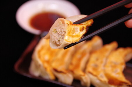 肉餃子 24個入り×2箱（合計48個）（960g）
