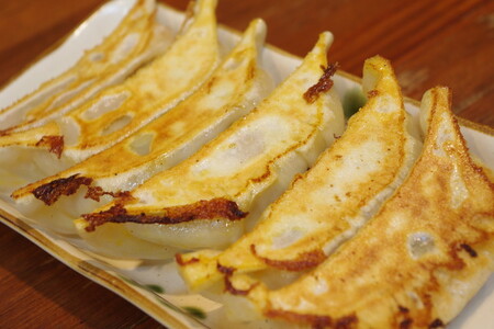 野州餃子 24個入り×1箱（480g）