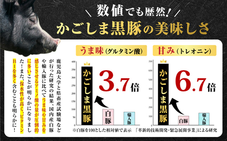 昔ながらの 黒豚 しゃぶしゃぶ セット 1.2kg＜ ロース 、バラ 、モモ ＞ K125-005 豚 豚肉