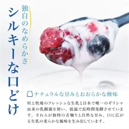【新鮮な生乳のみ使用】無加糖プレーンヨーグルト450g×3個セット 蔵王村上牧場直送 アトレイユ【配送不可地域：離島】【1676697】