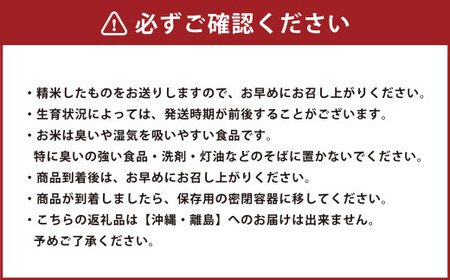 子育て応援米 【令和7年産】那岐山麓菜の花米 金芽米 無洗米 コシヒカリ5kg 【2026年1月下旬より順次発送開始】 お米 米 金芽米 無洗米 岡山県