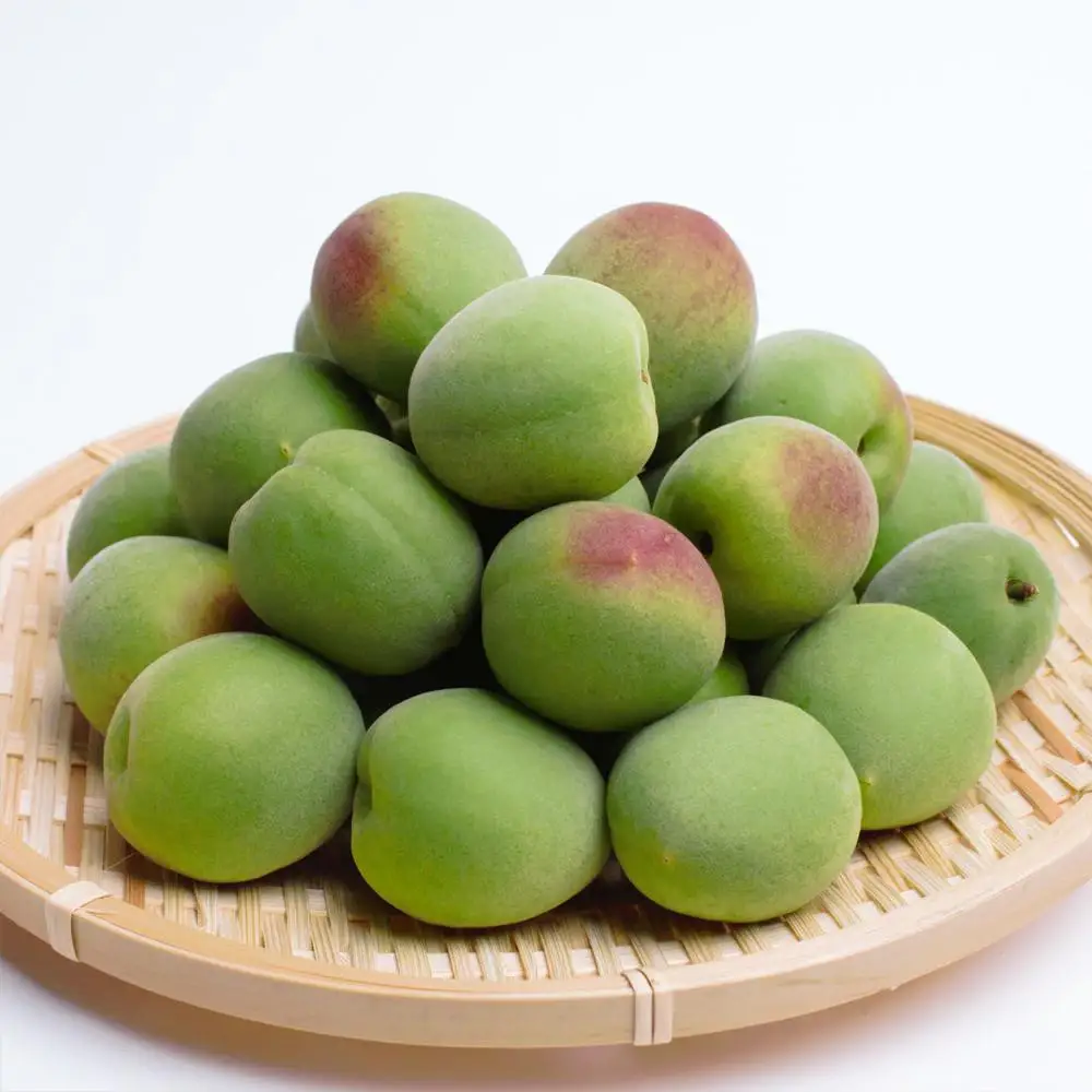 厳選 紀州南高梅(青梅)5kg+250g（傷み補償分）【梅干し・梅酒・梅ジュース】［IKE77］