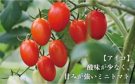 【期間限定（３～７月）】赤坂とまとの完熟セット