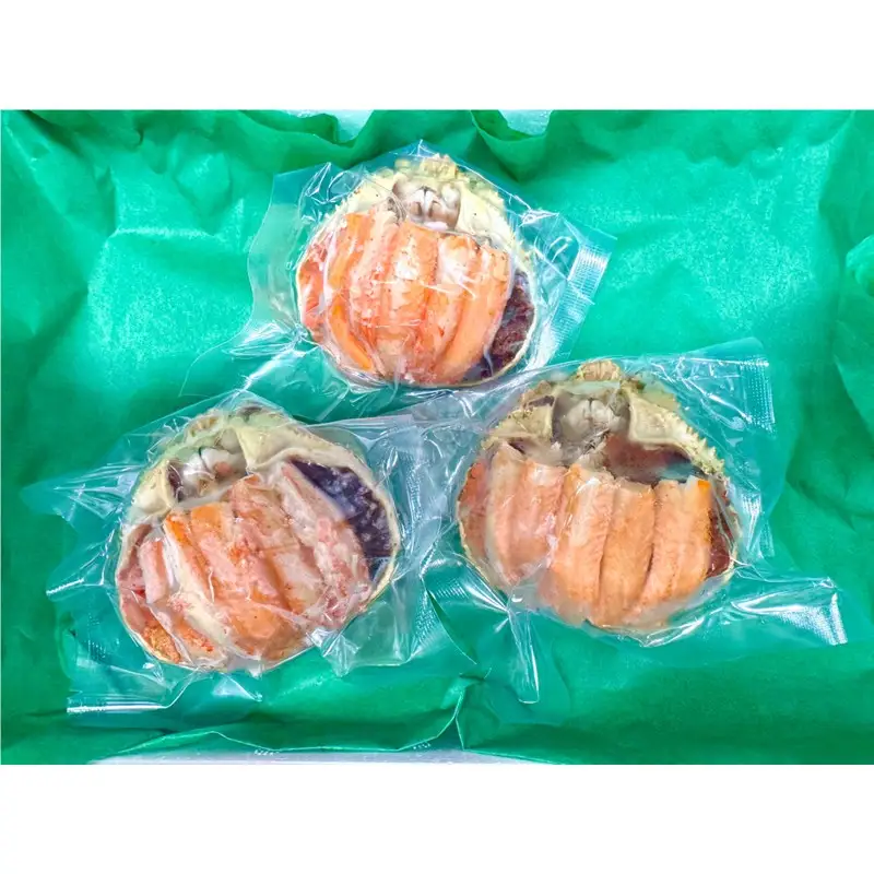 セイコガニ甲羅盛2Lサイズ 3個セット 蟹 カニ かに 松葉ガニ ズワイガニ 甲羅盛り 甲羅盛 セコガニ 冷凍 贅沢 セイコガニ セイコ蟹 簡単 かに味噌 内子 外子 濃厚 ふるさと納税 甲羅盛り