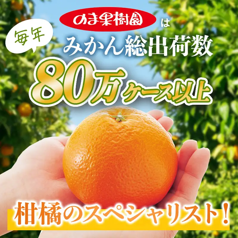 【先行予約】いよかんバラ詰め（1kg）