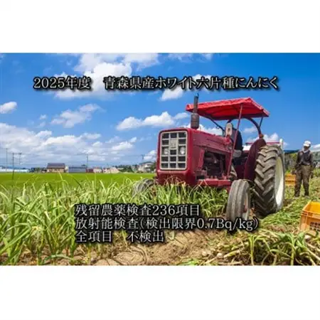 青森県産ホワイト六片種にんにく 1kg 大玉 (贈答用)【1635387】