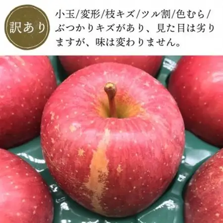 青森県産「サンふじ」家庭用　訳あり 光センサー選果済　約5kg【1635392】