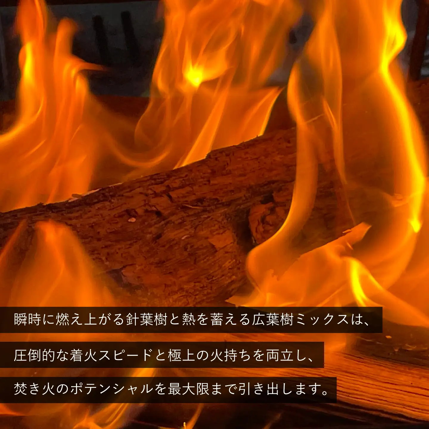 北海道 あしょろの薪（ミックス樹種） 約20kg [BEBD002]