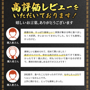 浜松餃子28個入（14個×2パック）セット 詰め合わせ ぎょうざ 餃子 ギョーザ 冷凍餃子 冷凍ぎょうざ 冷凍 冷凍食品 中華 惣菜 食品 おかず 静岡 浜松市