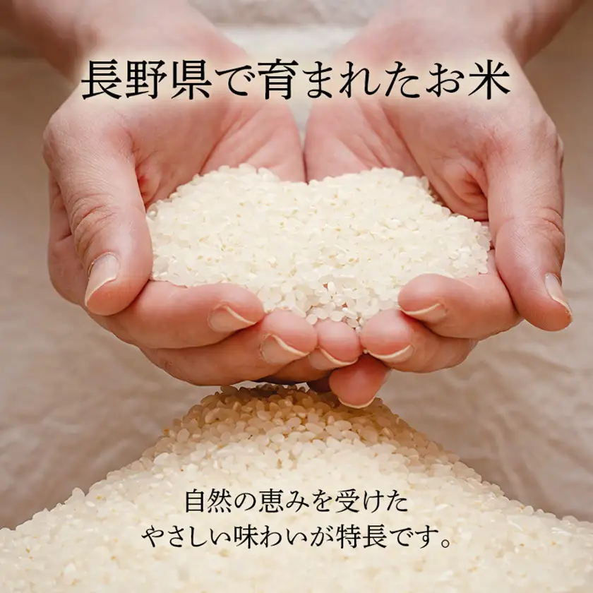 長野県産 越百黄金米(精米)5kg【1575178】