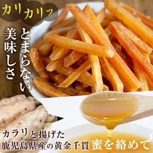 ＜定期便・全3回＞鹿児島県産黄金千貫使用！芋けんぴ・芋チップセット (20袋×3回) さつまいも 芋かりんとう おやつ【曽於市観光協会】T71