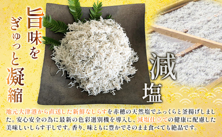 釜揚げしらす 小分け 大津港水揚げ しらす 500g (茨城県共通返礼品：北茨城市) 川崎水産有限会社 《30日以内に出荷予定(土日祝除く)》釜揚げ 小分けパック 減塩 茨城県 河内町【配送不可地域あり】（沖縄・離島）