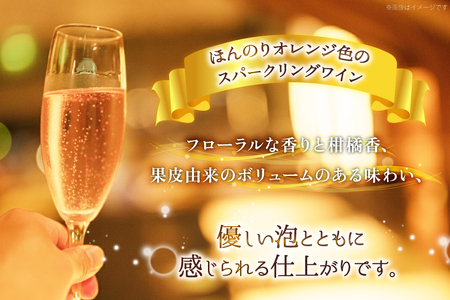 ワイン 甲州オランジュ･グリ スパークリング [本坊酒造株式会社マルス穂坂ワイナリー 山梨県 韮崎市 20745330]