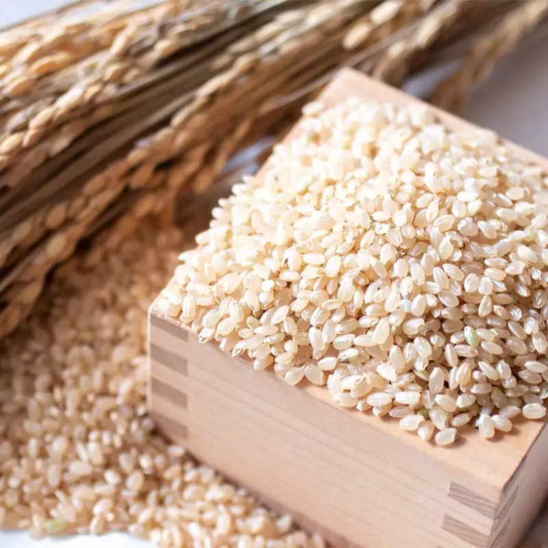 ＜定期便5ヶ月＞ 西会津産米 至福米コシヒカリ 玄米 8kg  F4D-2377